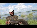 Snakehead Attack Amazing.. propeller Frog is the Best for Now लगातार अटैक में कितनी?