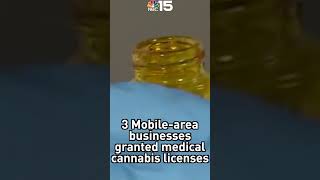 Alabama medical cannabis business license recipients announced - NBC 15 WPMI