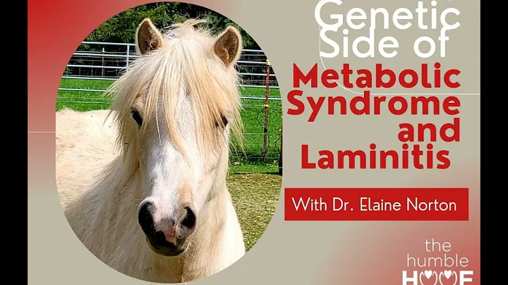 The Genetic Side of Metabolic Syndrome and Laminit...