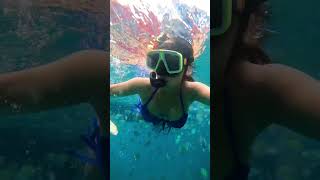 Have you seen this side of Thailand 🇹🇭? Cheaper and budget friendly. #ytshorts #shorts