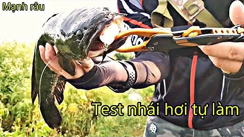 Câu cá lóc. Test nhái hơi tự làm bao nhạy cá. Mạnh râu