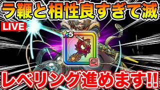 【ドラクエウォーク】ラ鞭との相性が良すぎる時渡りでガンガンレベリング進めます!!【DQW】