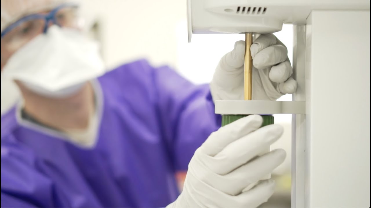 Clark Professional Pharmacy About Us YouTube