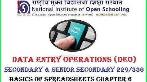 NIOS DATA ENTRY OPERATIONS 229/336 SECONDARY & SENIOR SECONDARY CHAPTER 6 BASICS OF SPREADSHEETS