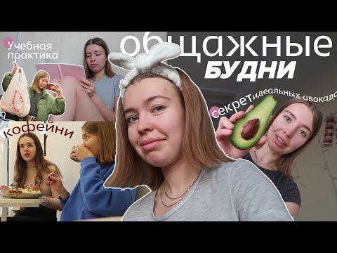 НЕДЕЛЯ ИЗ ЖИЗНИ