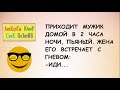 Подборка смешных анекдотов! Приходит МУЖИК домой пьяный...   Приколы! Шутки! Позитив!