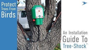 An Installation Guide To - Tree-Shock from Bird Barrier
