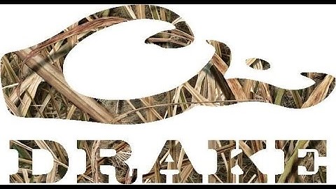 HOW  TO ZOOMLOAD ON BO2