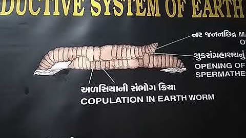 Std 11 biology ch 7 part 3 SHREEMAD DAYANAND KANYA VIDHYALAYA