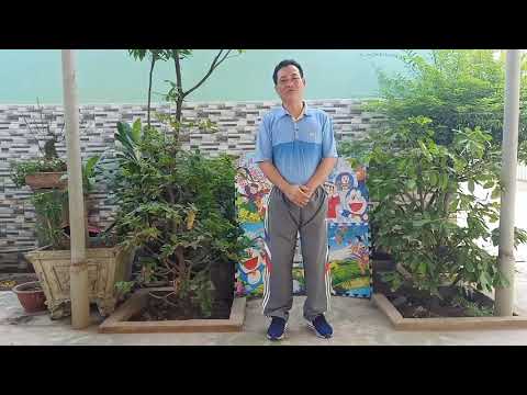 21/04/2020 lhc_thể dục 2 ôn các nội dung bài tập rlttcb