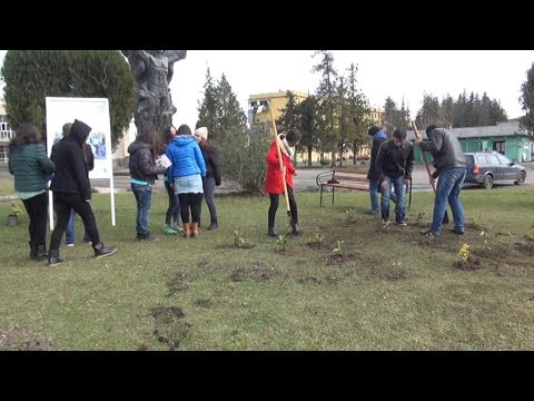 ხობის ახალგაზრდული იდეის ინიციატივით სკვერი გაშენდა