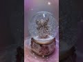 Angel Snowglobe Water Change