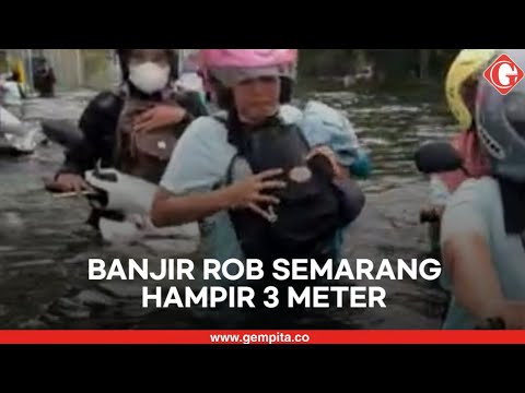 Tanggul Laut Jebol dan Banjir Rob Semarang Hampir 3 Meter, Rumah dan Motor Tenggelam