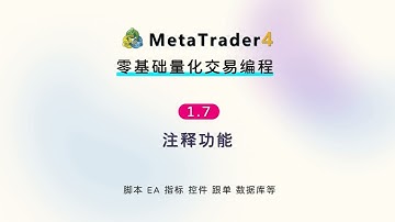 1.7 注释功能-MT4(EA)程序化交易編程教程(MT4 EA Tutorial)