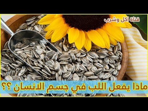 ماذا يفعل اللب في جسم الانسان