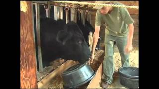 4-H - Life on the Pride Family Farm