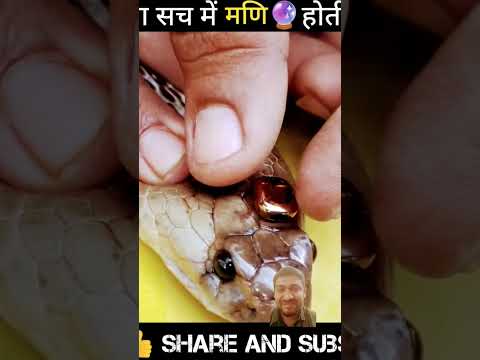 kya Nag mani
