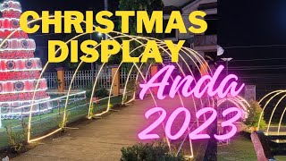 Anda Christmas trees Display 2023
