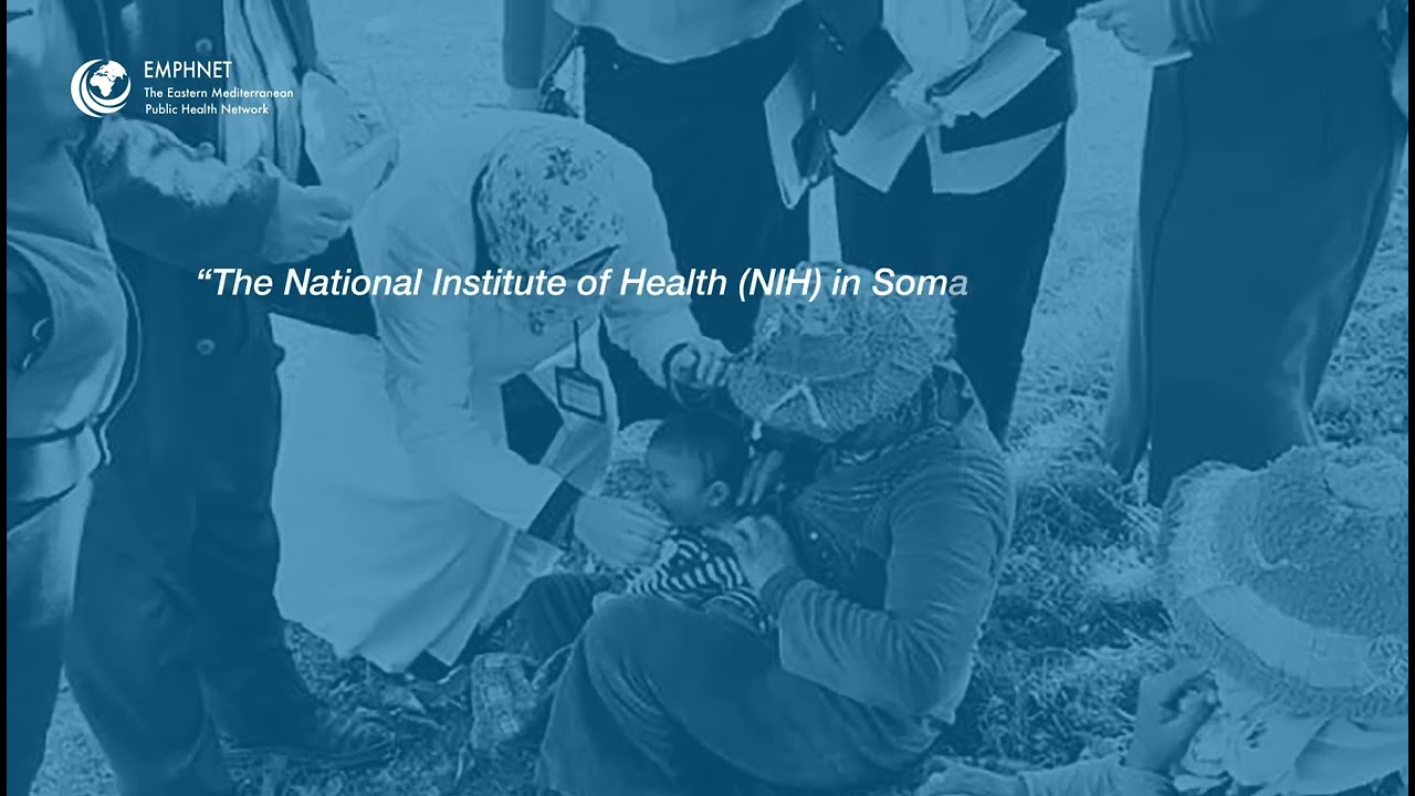 The EMPHNET Emergency Bulletin Issue 26 - English