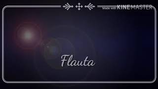 Tecno Flauta 2017 Nuevo !!!!!!
