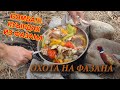 Фазан в Казане | Охота на Фазана Казахстан| готовим фазана| Куырдак из Фазана | MIX KZ | Микс кз