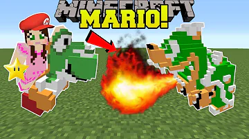 マリオmodマイクラ マリオmodマイクラ