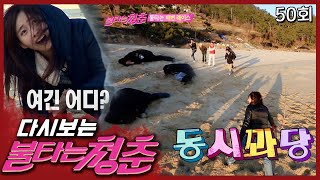 코끼리 코 잠깐만 돌아도 머리가 어질어질한 나이 │#불타는청춘 EP. 50