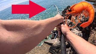 Jenchaîne Les Poissons Avec Une Crevette En Appât Pêche En Mer Du Bord