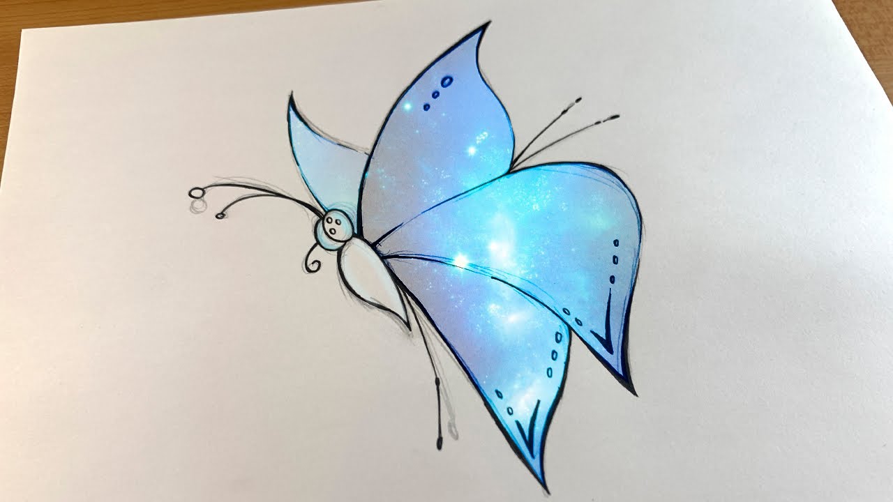 Cómo dibujar Mariposas   COMODIBUJARCLUB