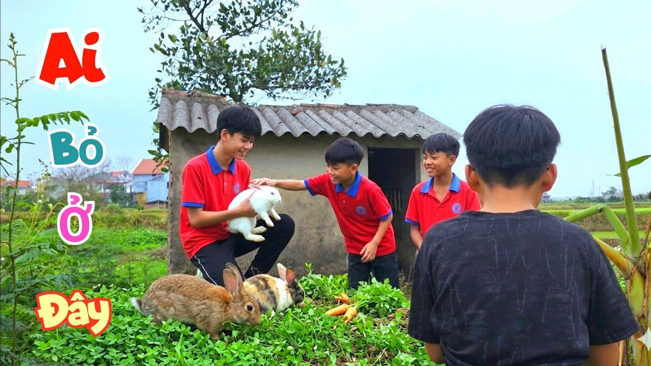 Cuộc Gọi Khẩn Cấp Ai Đó Vứt Con Thỏ Ở Khu Nhà Hoang Và Nhận Nuôi Thêm Cu Gáy / Quế Nghịch