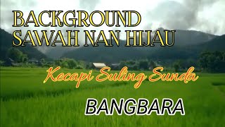 Background sawah nan hijau Kecapi Suling Sunda BANGBARA