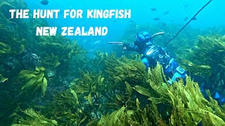 Spearfishing in WILD conditions & SHARK Encounter