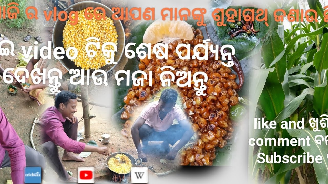 # ଶାଙ୍ଗ ମାନଙ୍କ ଶହିଥ ଆଜି ର vlog video koraputia @Rahul babu vlogs video 