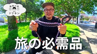 【旅の必需品】LAで試したPGYTECH新作スマホストラップが想像以上に快適だった話 ep2813