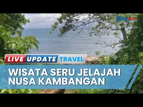 Jelajah Nusa Kambangan,