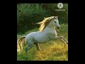 A thing of beauty/poetry recitation