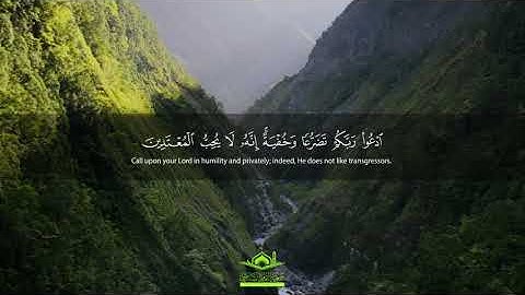 تلاوة رائعة: " ادْعُوا رَبَّكُمْ تَضَرُّعًا وَخُفْيَةً ۚ " | سورة الأعراف | قرآن