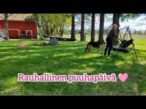 Nauti Plinko peleistä suoraan kasinoista verkossa - Kaikki tietoa täällä!