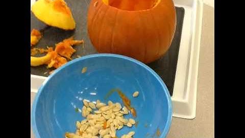 Kizoa Video Editor - Movie Maker: My Professional Journey