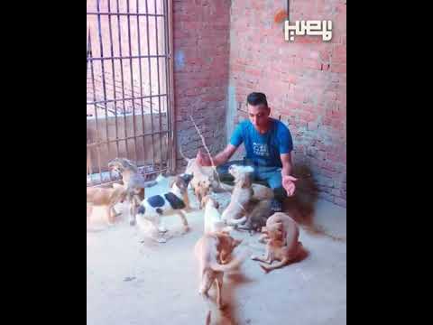 Even The Dogs Wept For Him Details Of The Passing Of Mohamed Gamal Martyr Of Treachery And Be