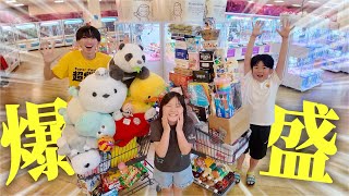 【カート超もりもり】不器用な家族がクレーンゲーム専門店の回遊館米子店で頑張ってみたら過去一のカートカチ盛りの爆取になった!