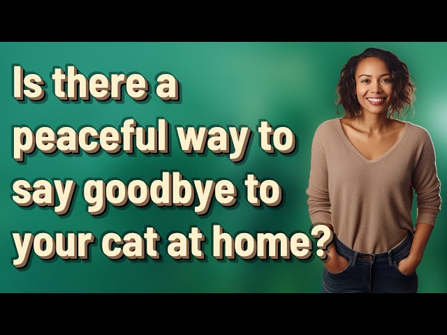 Is there a peaceful way to say goodbye to your cat at home? class=