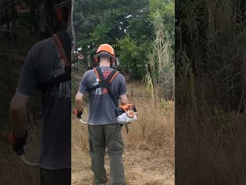 STIHL FS 131