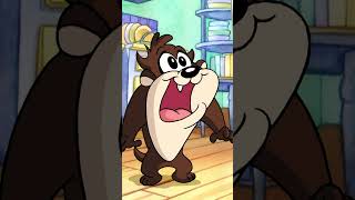 Baby Taz Song Baby Looney Tunes