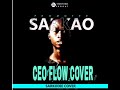 Promoter sarkao ceo flow sarkodie cover 2020 sl  official audio slide