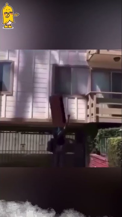 best catch funny fails | try not to laugh challenge | Best | viral ...