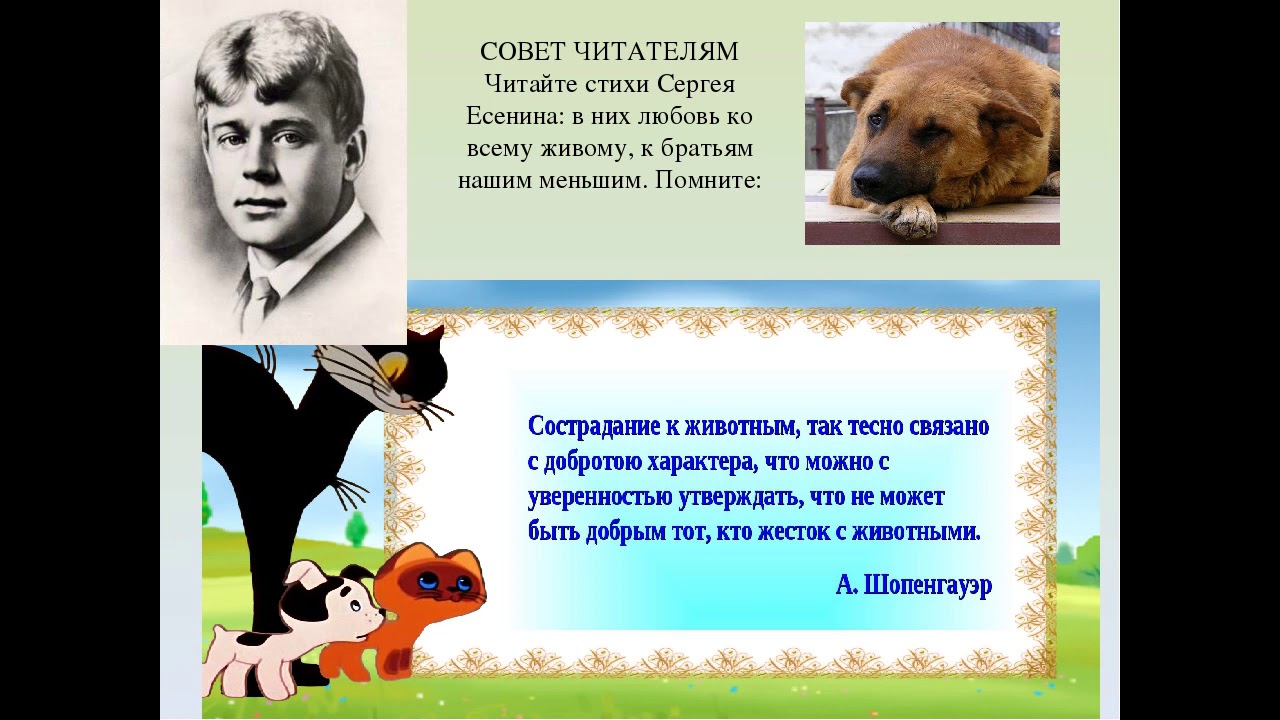 Стихотворение собака тема. Есенин про собаку Джим. Стих Есенина про собаку. Собака Есенина. Есенин стих про собаку.