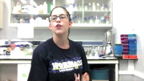 iGEM Valencia Biocampus Team Presentation (1/3)