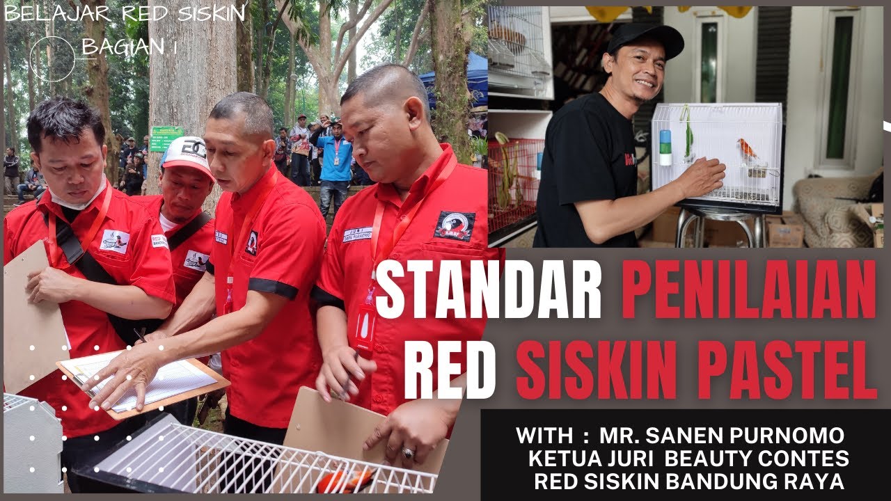 STANDAR PENILAIAN RED SISKIN PASTEL - CHOACING OLEH OM SANEN PURNOMO - BANDUNG RAYA | BAGIAN 1