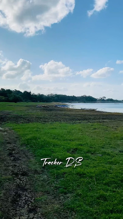 There on the most beautiful evening 🥰#tending #nature #srilanka #youtubeshorts #tiktokvideo #tiktok